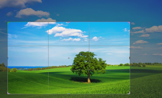 Cropping
